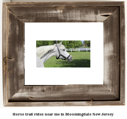 horse trail rides near me in Bloomingdale, New Jersey